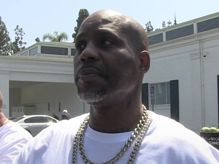 DMX Checks Himself Into Rehab and Cancels Concerts