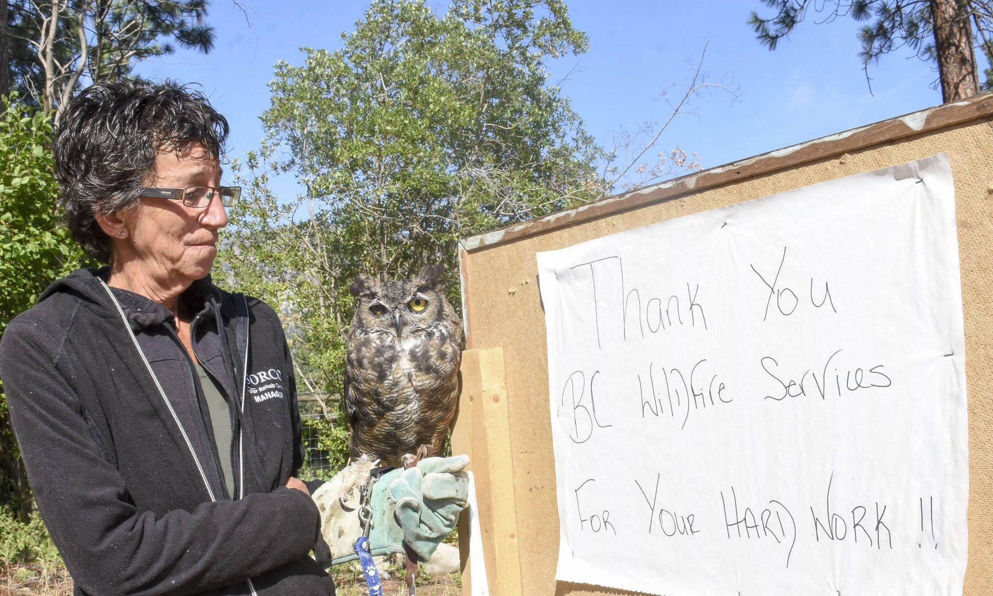 August: Forestry firefighters save raptor rehab centre
