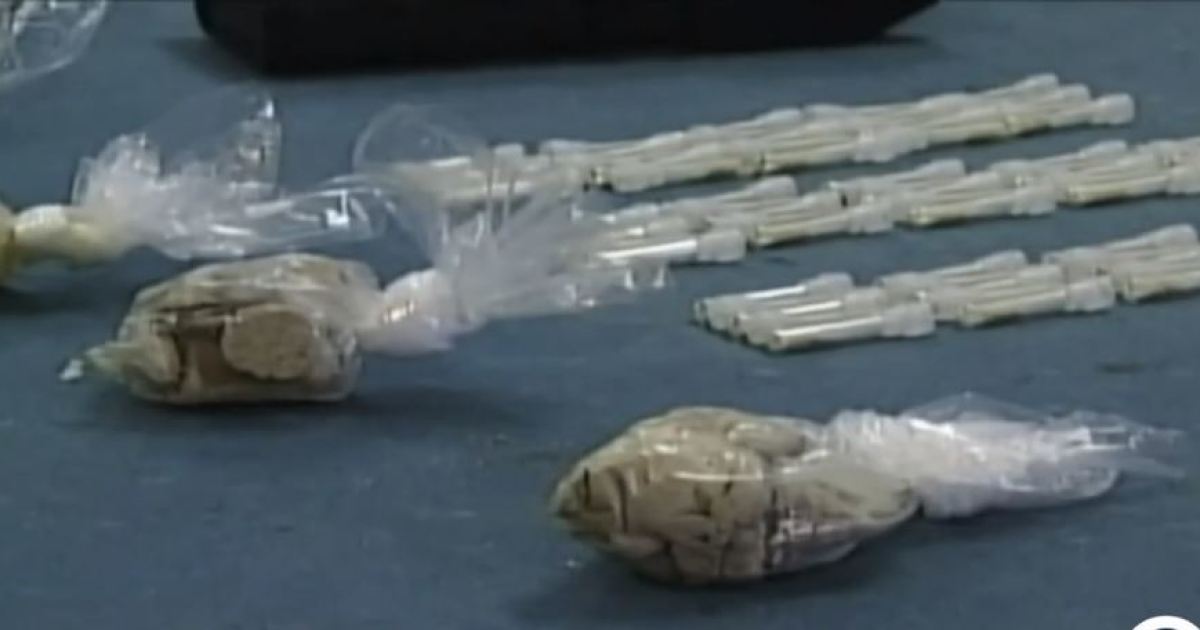 Drug overdoses increase in Martin County