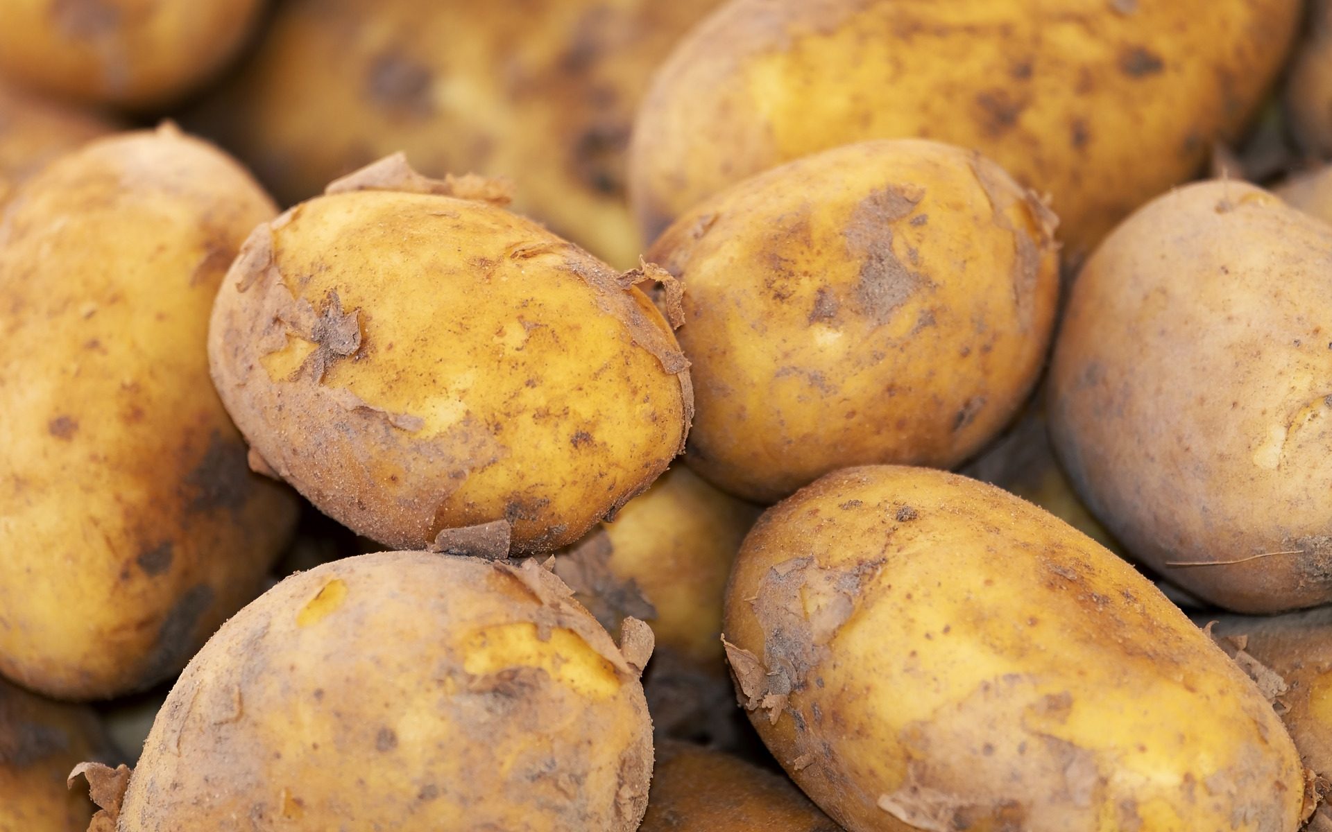 The potato – and four other ideas – as a potential brake on the effects of the coronavirus